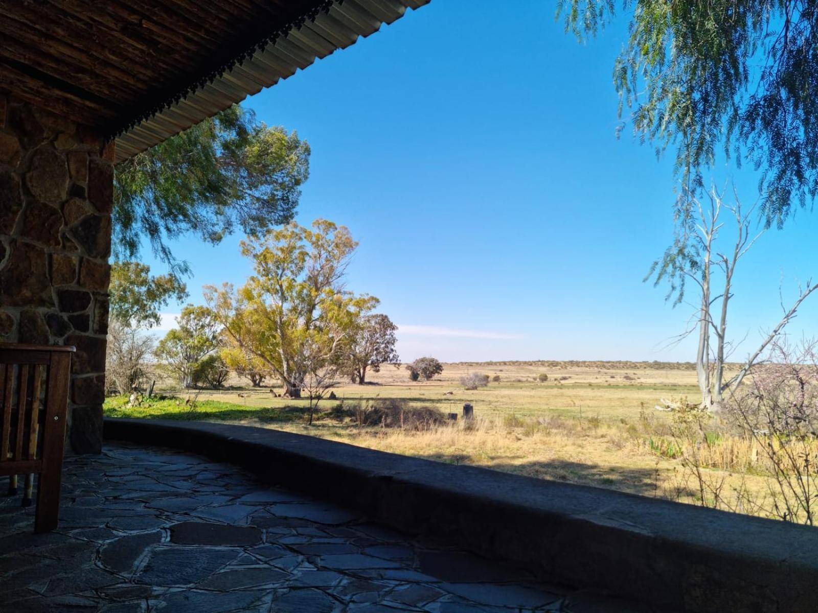 Garingboom Guest Farm Villa Springfontein Rom bilde