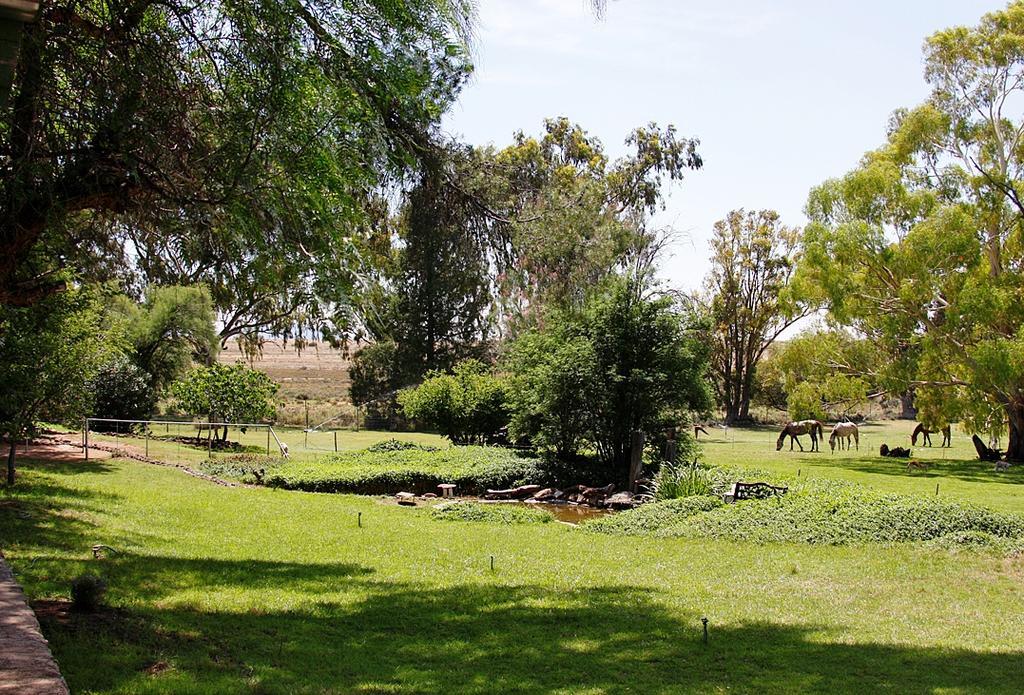 Garingboom Guest Farm Villa Springfontein Eksteriør bilde